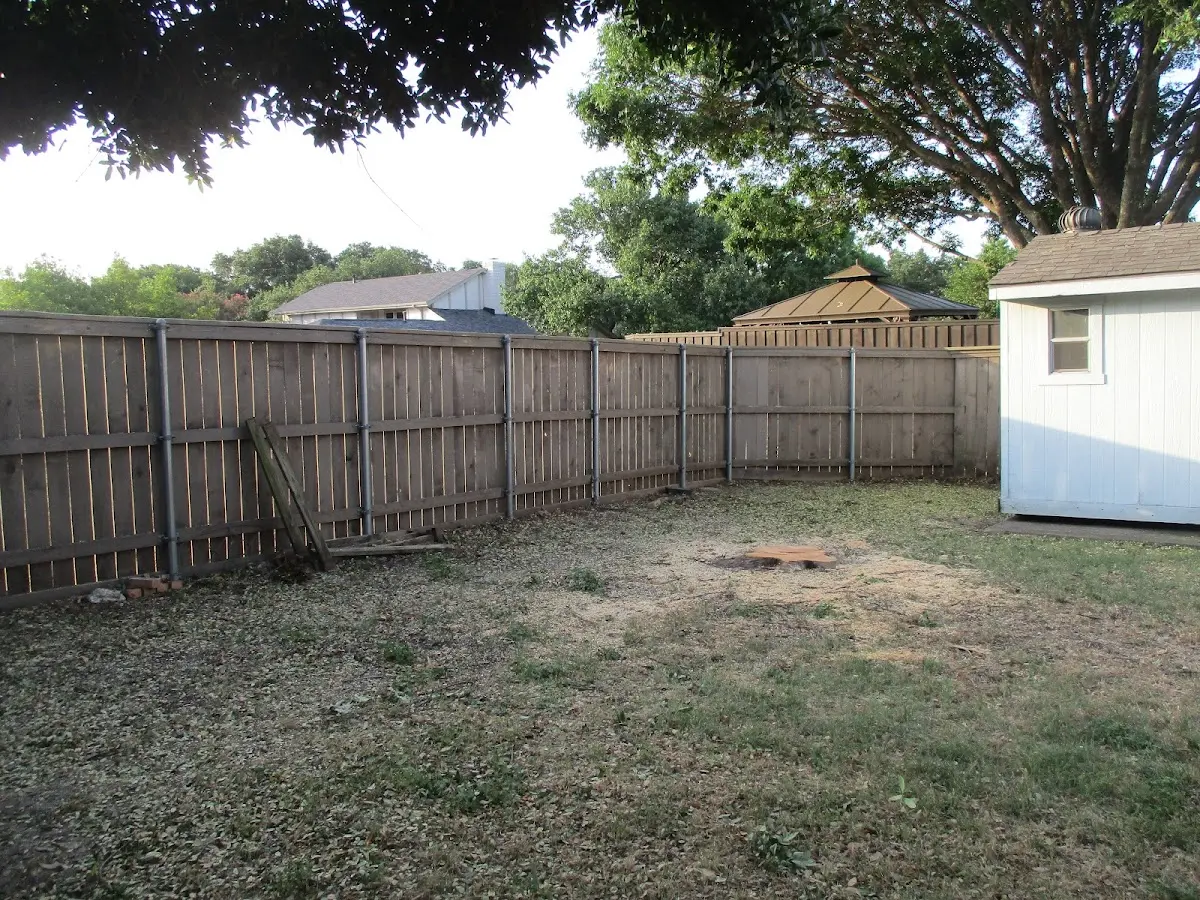 Cleared yard after professional tree removal in The Rock